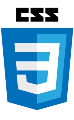 CSS